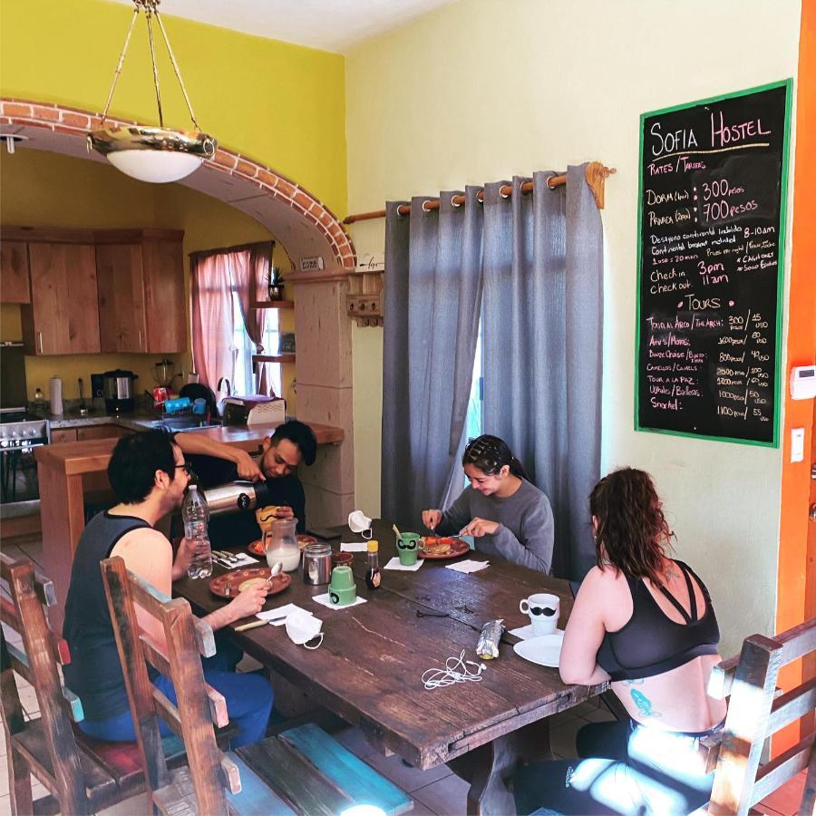 Sofia Hostel Cabo Cabo San Lucas Ngoại thất bức ảnh