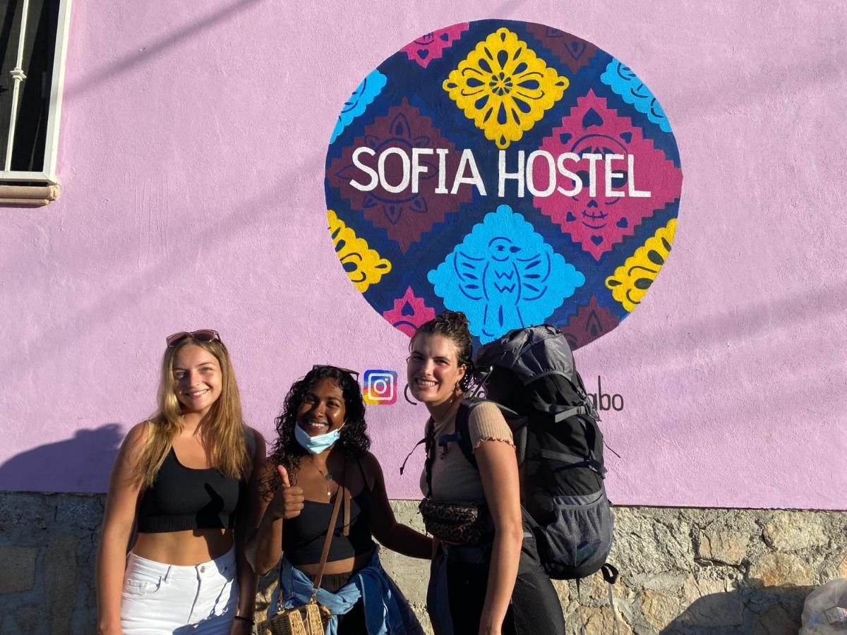 Sofia Hostel Cabo Cabo San Lucas Ngoại thất bức ảnh